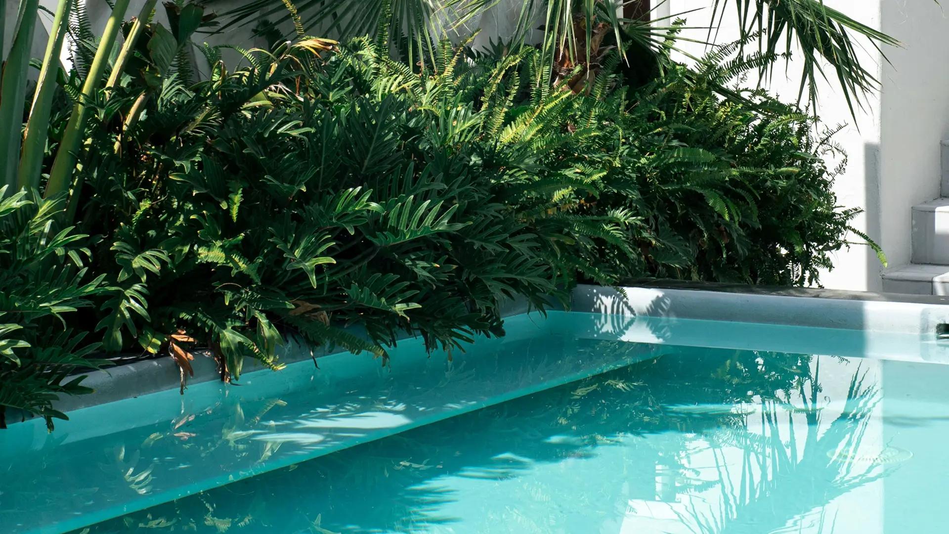 Tropical Pool